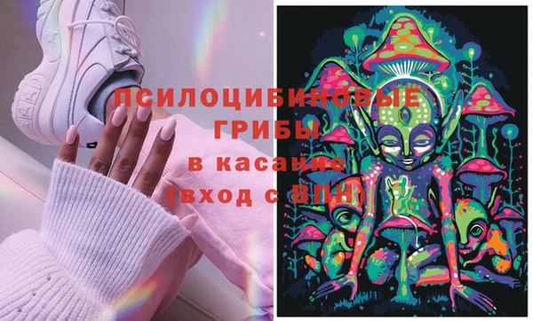 СК Балахна