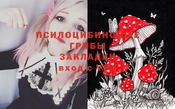 СК Балахна